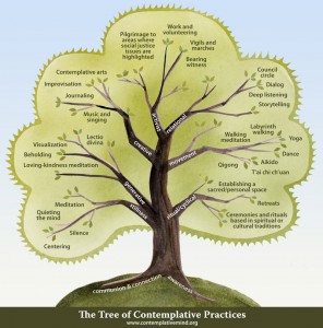 The Tree of Contemplative Practices from the Center for Contemplative Mind in Society. Concept & design by Maia Durr; illustration by Carrie Bergman. 