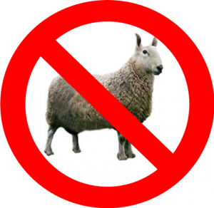 no-sheep
