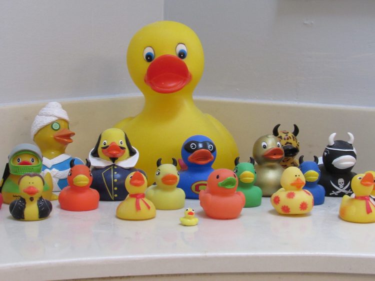 a small sampling of my rubber duck collection