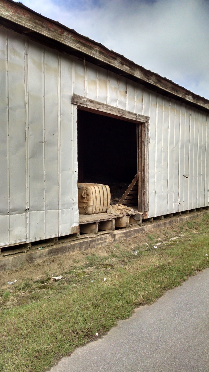 cotton bale bostwick 